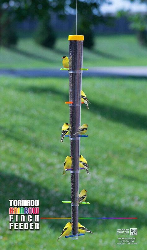 PRICES MAY VARY. Plastic feeder with multicolored perches adds style to your bird garden 30" long tube holds 1.75 quarts of thistle seed Item collapses into itself for easy storage and shipping Extra cap and base allow you to create 2 smaller feeders instead of one large one Unit is great for kids and adults Provide a wealth of thistle seed to several backyard birds with the S&K Tornado Rainbow Collapsible Finch Feeder. This piece blends classic shape with innovative design, for a wonderful addi Finch Feeders, Backyard Birds Feeders, Finch Bird, Metal Bird Feeders, Finches Bird, Plant Crafts, Garden Yard Ideas, Bird Seed, Backyard Birds