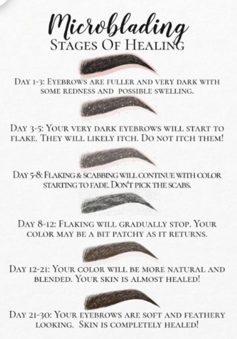 Ombré Eyebrows, Microblading Eyebrows Training, Cosmetic Tattoo Eyebrows, Microbladed Brows, Brow Quotes, Mircoblading Eyebrows, Brow Tech, Tattoo Eyebrows, Esthetician Inspiration