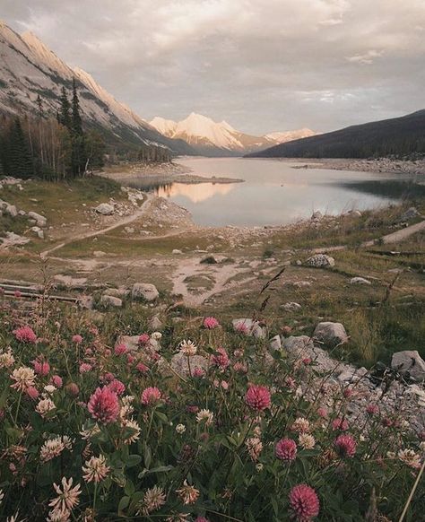 Time to run in the wildflowers swim in the lakes and climb up the mountains! Photo by @monascherie #MyJasper Jasper Canada, Time To Run, 심플한 그림, Mountain Photos, Instagram Time, Nature Aesthetic, The Nature, Pics Art, Photography Nature