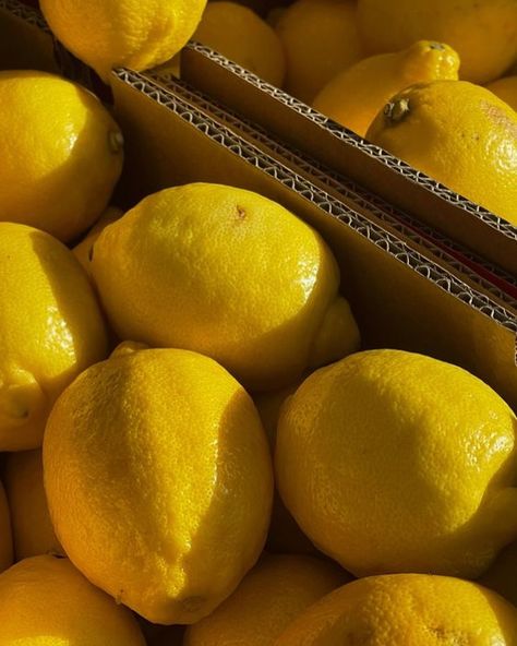 LOL (lots of lemons)🍋 #newarrivals #lemons #summer #summervibes Lemon Sicily, Lemons Aesthetic, Lemon Italy, Lemon Aesthetic, Macro Food Photography, Aesthetic Fruit, Fruit Aesthetic, Types Of Aesthetics, Sicilian Lemon