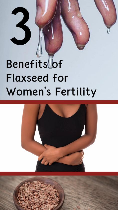 If you’re trying to conceive or reverse certain #fertility issues you might want to try some #flaxseed, or “#linseed” as my Jamaican grandparents might say. Benefits Of Flaxseed, Fertility Smoothie, Cervical Mucus, Fertility Foods, Fertility Health, Female Fertility, Natural Fertility, Fertility Boost, Trying To Conceive