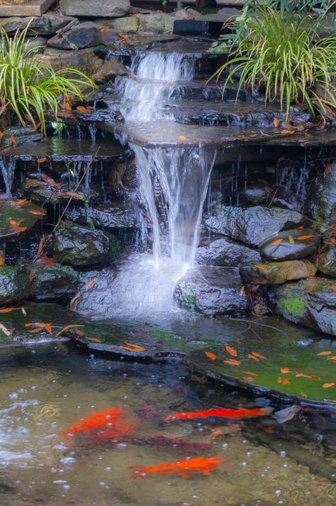 Waterfall Koi Pond, Waterfall Ideas, Koi Pond Design, Amazing Waterfall, Kolam Koi, Fish Pond Gardens, Garden Pond Design, Diy Garden Fountains, Garden Waterfall