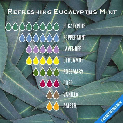 Refreshing Eucalyptus Mint | DiffuserBlends.com Eucalyptus Mint Candle, Diy Perfumes, Diffuser Oils, Mint Essential Oil, Liquid Castile Soap, Mint Recipes, Diy Perfume, Essential Oil Diffuser Recipes, Oil Diffuser Recipes