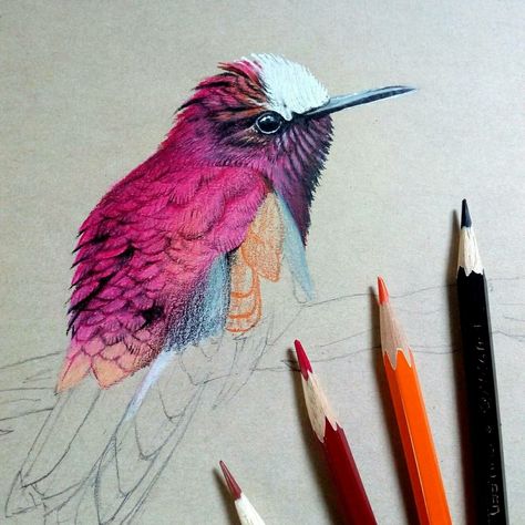 Drawing Ideas With Colored Pencils, Drawing With Colored Pencils, Bird Pencil Drawing, Hummingbird Illustration, Colored Pencil Drawing Techniques, Colored Pencil Art Projects, Ideas For Drawing, Flower Drawing Tutorials, Colored Pencil Artwork