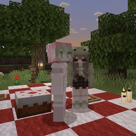 Screen Minecraft, Minecraft Date, Minecraft Picnic, Split Screen, Picnic Date, Minecraft Creations, Minecraft, Dates, Split