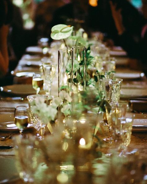 some wonderfully delightful odds and ends from Nicole & Franks wedding, all shot on film. 🦢 photo @abbyleighphoto planning @thesmallerorchid video @bonnielassfilms venue @botanicalgardennola florals @sharime_kayla dress @tomsebastien_official hair @coco_shrimp_ makeup @jessicacarnley catering @blackpearlcateringco linens @bbjlatavola rentals @distressedrentals cake @chasingwang Sharime Kayla, Shot On Film, Odds And Ends, Film Photo, Nyc Wedding, On Film, Celebrity Weddings, Coco, Wedding Photographers