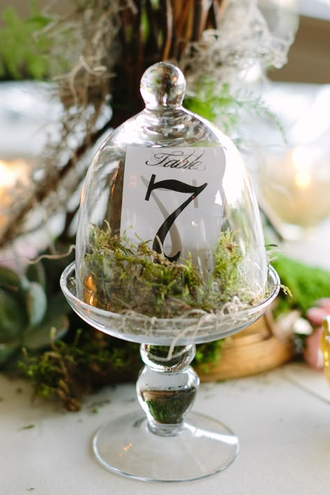 Lotr Table Numbers, Fairytale Table Numbers, Moss Table Numbers, Enchanted Forest Wedding Table Numbers, Cloche Wedding Centerpiece, Enchanted Forest Table Numbers, Wedding Table Number Centerpieces, Garden Party Table Numbers, Scary Wedding