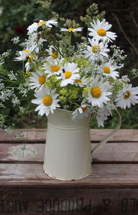 Vase Of Daisies, Photos Of Daisies, Jug Of Flowers, Daisy Flower Arrangements, Daisy Centerpieces, Flower Gallery, Pickle Jar, Vase Display, Most Popular Flowers