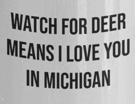 Jj Mccarthy, Michigan Facts, Michigan Go Blue, Funny Rock, Michigan Road Trip, Michigan Summer, Family Cabin, Beautiful Places To Live, Lake Living