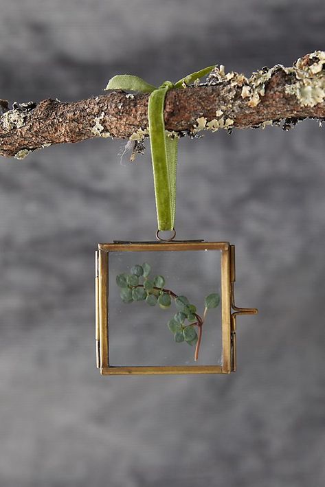 Square Frame Ornament | Anthropologie Anthropologie Christmas, Frame Ornament, Holiday Giveaways, Seasonal Displays, Mini Ornaments, Ornament Frame, Photo Ornaments, Festive Decor, Celebrate Christmas