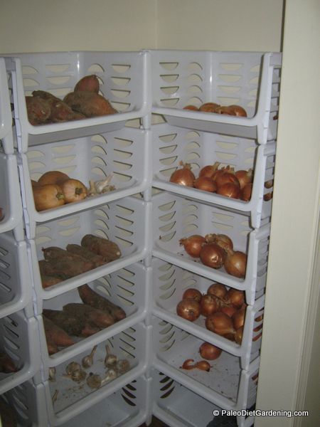 Root Cellar Storage, Root Cellars, School Gardens, Storing Vegetables, Root Cellar, Vegetable Storage, Recycled Garden, Square Foot Gardening, Food Info