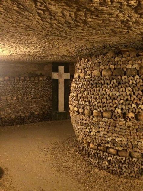 Catacombs Of Paris, Paris Catacombs, Skulls And Bones, Creepy Facts, The Catacombs, Underground Cities, Ancient Mysteries, Alam Yang Indah, Memento Mori