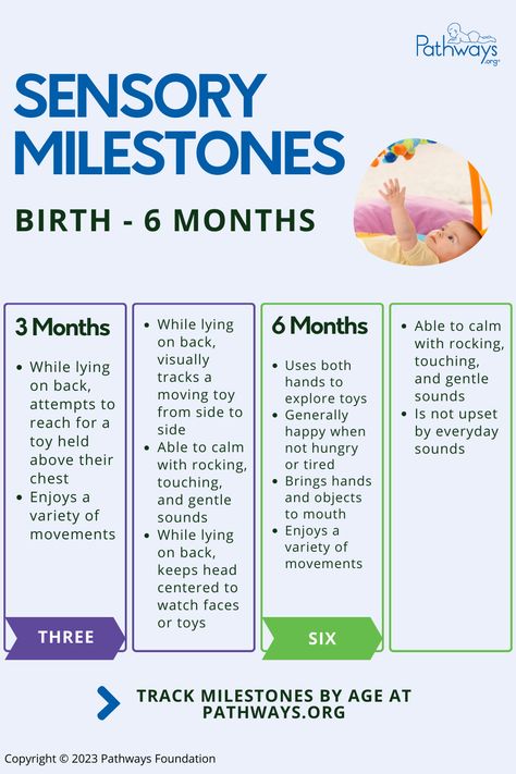 Track your newborn to 6 month old's sensory milestones, from the types of movements they enjoy to what they see in different positions. All milestones supported by American Academy of Pediatric findings. Head to Pathways.org for more milestones, from motor to communication by age! 6 Month Development Milestones, 6 Month Old Milestones, 12 Month Milestones, Baby Development Activities, Toddler Milestones, Development Milestones, Sensory Motor, Baby Activities, Sensory Integration