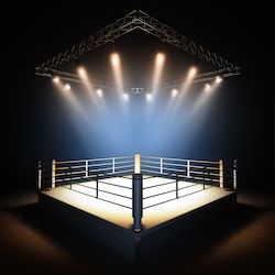 Boxing Gym Design, Gym Lighting, Gym Design Interior, Boxing Rings, Boxing Ring, Episode Backgrounds, Gym Interior, Boxing Gym, Gym Room