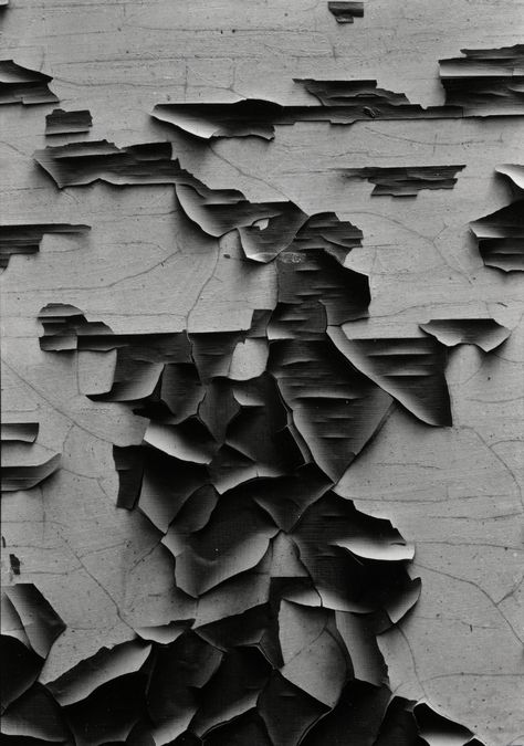 Aaron Siskind. Jerome 2. 1949 | MoMA Jerome Arizona, Aaron Siskind, Texture Photoshop, Foto Macro, Siskin, Texture Photography, Black And White Photograph, Peeling Paint, Gelatin Silver Print