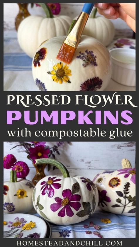 Looking for DIY pumpkin decorating ideas, with no carving involved? Come learn how to make beautiful natural pressed flower pumpkins using dried flowers, pressed fall leaves, herbs, or other botanicals plus DIY nontoxic biodegradable cornstarch glue - so your botanical pumpkins can be composted or eaten at the end of the season! This is such a fun and easy fall craft project idea for the whole family to enjoy. It's one of my favorite sustainable natural crafts and DIY halloween decorations! Diy Pumpkin Decorating Ideas, Flower Pumpkins, Pumpkins Decorated, Natural Fall Decor, Pumpkin Decorating Diy, Halloween Pumpkin Crafts, Natural Crafts, Fall Crafts For Adults, Pumpkin Decorating Ideas