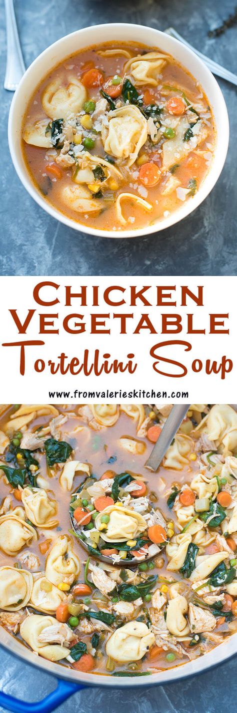 This Chicken Vegetable Tortellini Soup is made easy with a rotisserie chicken and store-bought cheese tortellini. A wholesome, comforting 30-minute meal! Vegetable Tortellini Soup, Vegetable Tortellini, Soup Tortellini, Student Meals, Vege Dishes, Healthy Meals Ideas, Chicken Tortellini, Chicken Vegetable, Meals Ideas