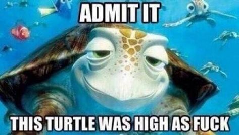 Finding Nemo Quotes, Nemo Quotes, Keep Swimming, A Turtle, Puff And Pass, Finding Nemo, Kid Memes, E Card, In The Ocean