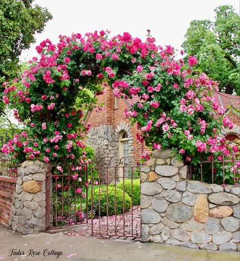 Front Yard Arch Entrance, Rose Garden Inspiration, Flower Gate, Hobbit Garden, Spanish Garden, Rose Trellis, Small Vegetable Gardens, Brick Garden, Climbing Rose