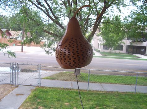 Could this become my next new obsession? Make a gourd thunder drum Thunder Gourds How To Make, Thunder Gourds, Gourd Instruments, Carving Gourds, Diy Nature Crafts, Bird House Gourds, Gourd Bird Houses, Gourd Baskets, Making Instruments