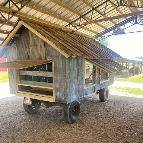 Diy Chicken Coop Ideas, Chicken Coop Ideas, Mobile Chicken Coop, Walk In Chicken Coop, Small Chicken Coops, Chicken Barn, Chicken Poop, Portable Chicken Coop, Chicken Pen