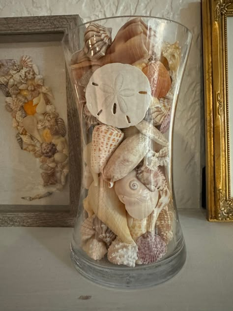 "Shells have some imperfections, some nearly noticeable. All shells were found, cleaned, and polished. This is a custom piece, all shells were placed one by one. Ready to display for decor in a built-in, shelf, or any other area that has a coastal/beach vibe. No live shelling involved. Cylinder 8\" tall with an opening of 4.5\" wide mouth. 1 lb 7oz of shells used in this piece. Shells included:  - sand dollar - lightning whelk - scallop - florida fighting conch - common nutmeg - apple murex  - paper figs  - spiny jewel box  - lettered olive - shark's eye - banded tulip - sunray venus  - horse conch  - turkey wing - alphabet cone  - pear whelk - calico clam - top shell  - chestnut turban  - true tulip  -  Hours to complete (cleaning shells, polishing, arranging): 7" Fall Seashell Decor, Display Shells From Beach, Shell Bathroom Decor, Seashell Collection Display, She’ll Display, How To Display Seashells, How To Display Shells, Shell Collection Display, Sea Shell Display Ideas