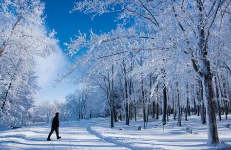 10 Things You Didn’t Know About Wausau Snow Shoeing, Wisconsin Pride, Wausau Wisconsin, Wisconsin Winter, Exploring Wisconsin, Wisconsin Travel, Lutheran Church, Explore Nature, Ski And Snowboard