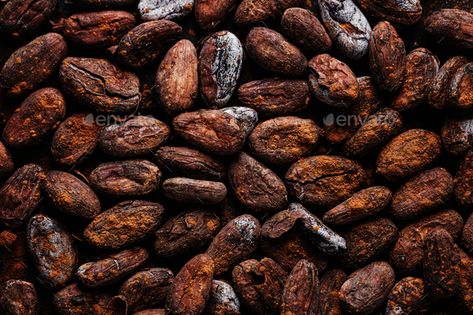 Cacao beans on plate closeup by Valeria_Aksakova. Raw cacao beans with cacao powder. Food background. #Affiliate #closeup, #Valeria_Aksakova, #plate, #Cacao Visual Guidelines, Cocoa Fruit, Cocoa Drink, Food Background, Cacao Beans, Cocoa Nibs, Food Backgrounds, Raw Cacao, Coffee Powder