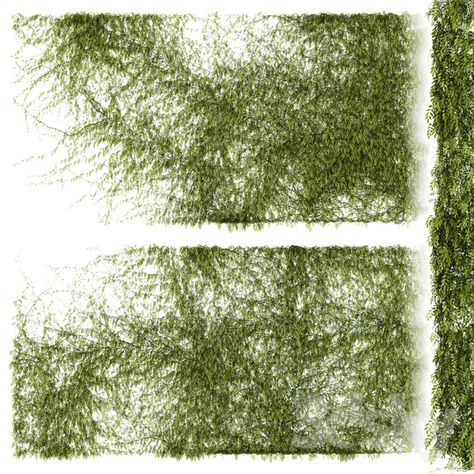 Plant Wall Texture, Sims 4 Cc Ivy Wall, Plants Architecture Photoshop, Bushes Photoshop Architecture, Trees Background Architecture Photoshop, Vegetation Png, Section Drawing Architecture, Wall Planters Outdoor, Climber Plants