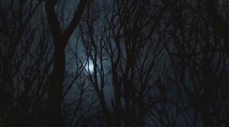 Dark Aesthetic Gif, Dark Banner Gif, Maeve Aesthetic, Dark Astrology, Dark Gif, Moon Gif, Halloween Gifs, Dead Forest, Rain Gif