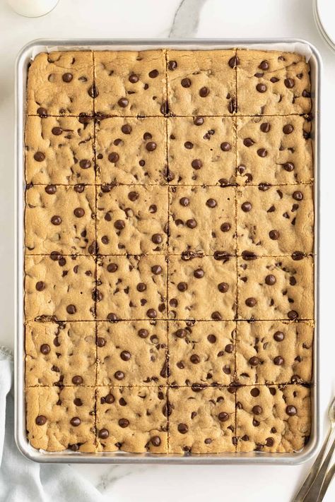 A sheet pan of peanut butter chocolate chip cookies cut into squares. Peanut Butter Sheet Pan Cookies, Sheet Pan Peanut Butter Bars, Sheet Pan Peanut Butter Cookie Bars, Peanut Butter Chocolate Chip Bars 9x13, Peanut Butter Chocolate Chip Cookie Bars, Sheet Pan Cookie Bars, Sheet Pan Cookies, Chocolate Chip Peanut Butter Bars, Chocolate Chip Pan Cookies