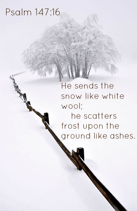 Psalm 147:16 He sends the snow like white wool;      he scatters frost upon the ground like ashes. Snow Quotes, Listen Carefully, Winter Quotes, Winter Beauty, Winter Wonder, Beautiful Life, A Quote, The Science, Winter Scenes