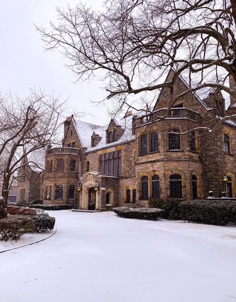 Castle Homes Modern, Manor Aesthetic Dark, Old Manor Aesthetic, Manor Exterior Dark, Old Mansion In The Woods, Old Mansion Aesthetic, Magical Mansion, Winter Mansion, Ronan Markov