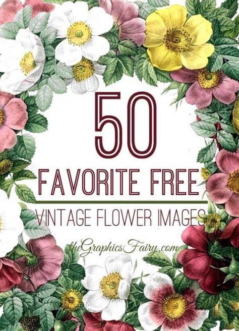 50  Free Vintage Flower  Images! - The Graphics Fairy. So many great freebies to use in Crafts and DIY Home Decor projects! Perfect for Graphics Design , web design, digital Collage or making your own Printables! Couple Drawing, The Graphics Fairy, Free Vintage Printables, Beautiful Flowers Images, Free Printable Art, Graphics Fairy, Christmas Fonts, Instant Art, Vintage Diy