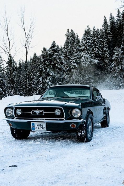 Best Cars 1967 Mustang Wallpaper, Auto Snaps, Green Mustang, Ford Mustang 1967, Mustang Wallpaper, 1967 Mustang, Old Muscle Cars, Ford Mustang Fastback, Mustang Fastback