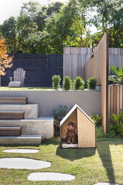 Timber and concrete steps lead to a raised lawn area at this energy efficient Melbourne home. The garden includes herb and vegetable beds and a swimming pool. Photography: Martina Gemmola | Styling: Ruth Welsby 1980s Home, Gorgeous Homes, Concrete Steps, Melbourne House, Energy Efficient Homes, Terrace Garden, Dog Houses, Pool Designs, Dog House