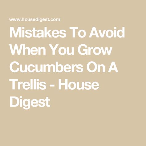 Mistakes To Avoid When You Grow Cucumbers On A Trellis - House Digest Cucumber Uses, Cucumber Plants, Grow Cucumbers, Cucumber Trellis, Cucumber Beetles, Cucumber Plant, Growing Cucumbers, Tomato Cages, Plant Supports