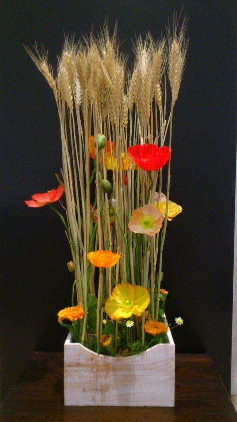 Ikebana japanese floral arrangements Wheat Flower, Ikebana Arrangements, Floral Art Design, Church Flower Arrangements, Creative Flower Arrangements, Arrangement Ideas, Church Flowers, Wheat Field, Fresh Flowers Arrangements