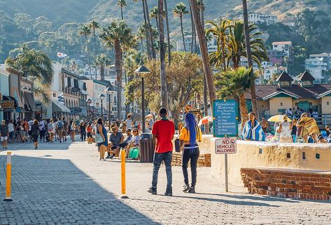 9 Best Small Towns In Southern California Small Towns In California, Harbor Springs, Weekend Escape, Santa Catalina, Catalina Island, Joshua Tree National Park, Acadia National Park, Castle Rock, Lake Michigan