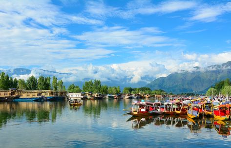 Dal Lake: The Jewel in the Crown of Kashmiri Beauty | Travel.Earth Jammu And Kashmir Tourism, Kashmir Tourism, Holiday Destinations In India, Kashmir Tour, Dal Lake, India Holidays, India Tour, Srinagar, Jammu And Kashmir