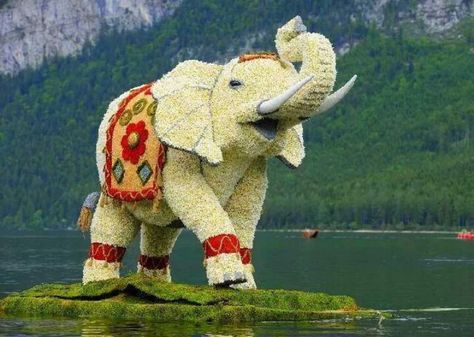 elephants of flowers Plant Sculpture, All About Elephants, Flower Elephant, Floral Elephant, Topiary Garden, Garden Sculptures, Elephant Sculpture, Flower Festival, Flower Sculptures