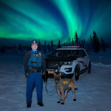 The Alaska State Troopers said this, “We are glad all of our law enforcement colleagues in the Lower 48 were able to see the Northern Lights this weekend. Aren't they incredible? Just a friendly reminder that the Alaska State Troopers are hiring and offer the best views of the northern lights.” Albino Animals, Highway Patrol, Police Vehicles, State Trooper, See The Northern Lights, The Northern Lights, Friendly Reminder, State Police, Emergency Vehicles