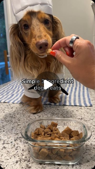 Roswell on Instagram: "Simple 3 ingredient dog treat recipe👨🏻‍🍳 Really quick and easy!

Recipe from @dogbakeryacademy

#dachshund #homemadedogtreats #dogtreatrecipe #chefroswell" Cookie Dog Treats, Best Treats For Puppies, Puppy Homemade Food, Recipe For Dog Treats, Puppy Recipes, 3 Ingredient Dog Treats, Dog Food Recipes Crockpot, Cook Dog Food, Dog Treat Recipe