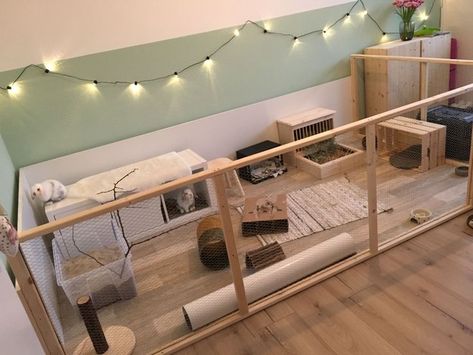 Indoor Bunny House, Diy Bunny Cage, Indoor Rabbit House, Diy Rabbit Cage, Rabbit Hutch Indoor, Indoor Rabbit Cage, Diy Guinea Pig Cage, Rabbit Pen, Rabbit Enclosure