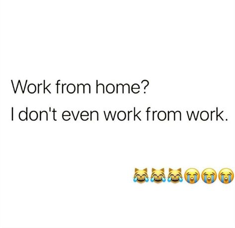 Work From Home Captions, Reaction Face, Friday Humor, Funny Captions, Work Quotes, Work From Home, Working From Home, From Home, Funny Gif