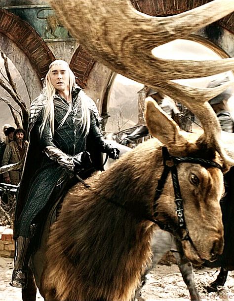 your slip is showing Thranduil Funny, Thranduil And Legolas, The Hobbit Thranduil, Legolas And Tauriel, Lee Pace Thranduil, Lotr Elves, Legolas And Thranduil, Shire Horse, The Hobbit Movies