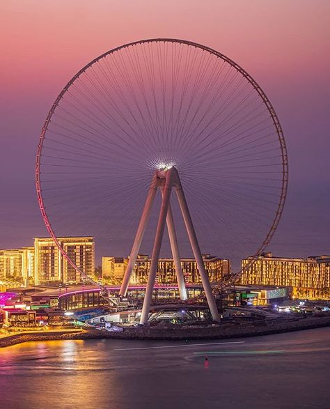 Ain Dubai (Dubai Eye), BlueWaters Islands Pictures Of Dubai, Dubai Eye, Ain Dubai, Dubai Tourism, Eye Photo, Dubai Vacation, Amusement Park Rides, Visit Dubai, Dubai City