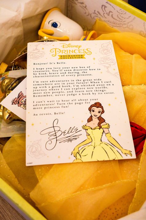 Disney Princess Merchandise, Disney Birthday Gifts, Disney Box Ideas, Pr Box Design, Princess Gift Basket, Babysitting Aesthetic, Pr Card, Gcse Graphics, Disneyland Party