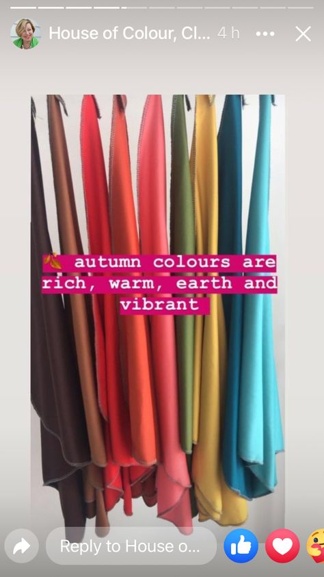 House Of Colour Autumn Clothes, Vibrant Autumn House Of Colour, Hoc Autumn Leaf Outfits, Vibrant Autumn Color Palette, House Of Color Autumn Outfits, Blue Autumn Color Palette, House Of Colour Autumn Outfits, True Autumn Color Palette Outfits, House Of Color Autumn