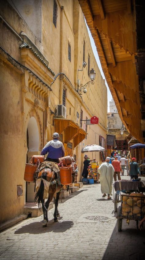 The Off Season Is In: Northern Morocco in High Summer | Here Magazine @ Away Desert Tour, Moroccan Culture, Visit Morocco, Morocco Travel, Solo Female Travel, Africa Travel, Best Cities, North Africa, Tourist Destinations